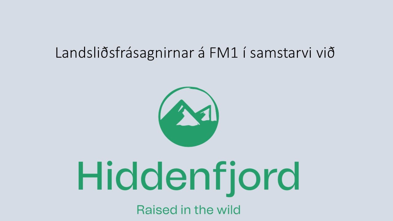 Landsliðið 2023 seinna helvt