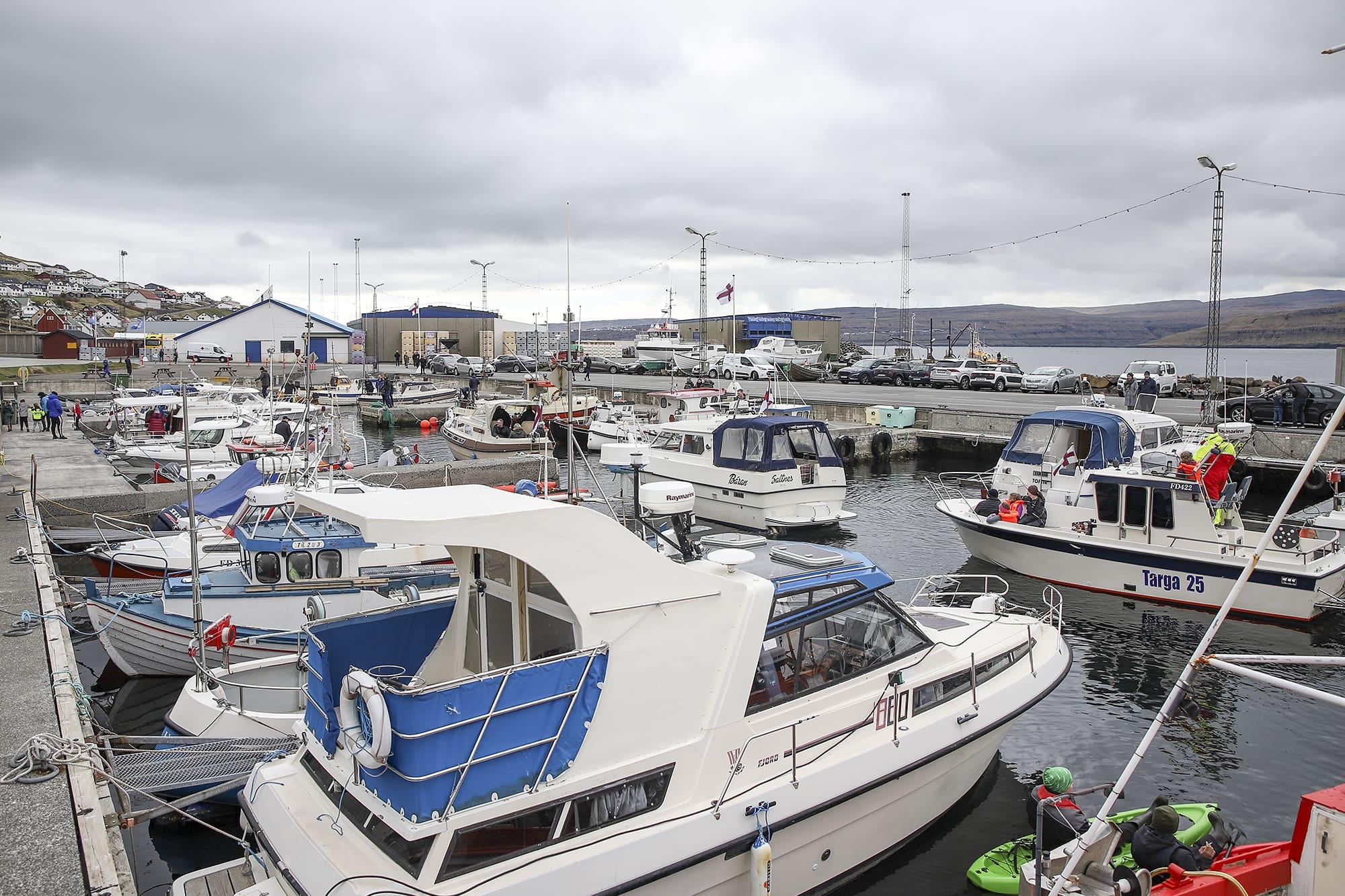Fara at grilla einar 1100 búffar á Bátafestivalinum